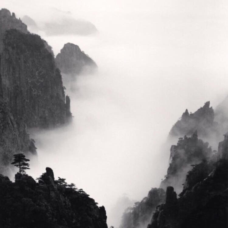 武田观柳（身份：恶德实业家、操纵鸦片贸易） - 4K超清影视在线观看 - 电脑看视频
